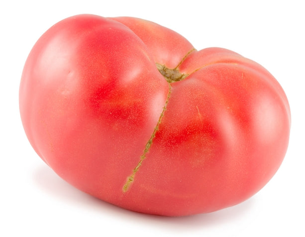 Red Brandywine Heirloom Certified-Organic Tomato Seed – Sweet Corn Organic  Nursery
