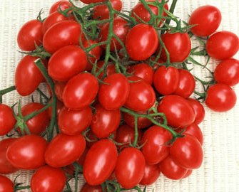 Rosalita Heirloom Tomato Seed