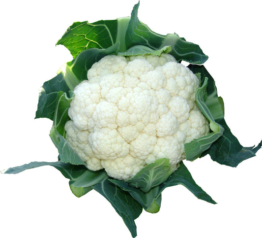 Self Blanche Heirloom Cauliflower Seed