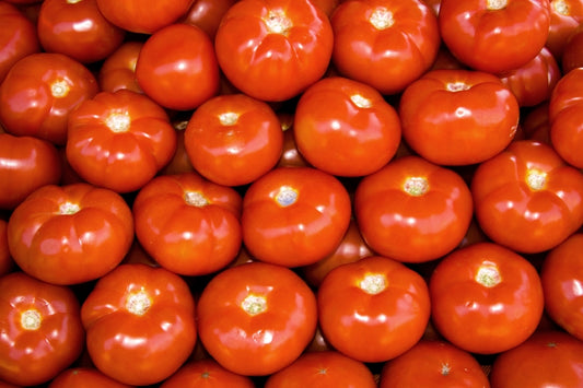 Siletz Tomato Seed