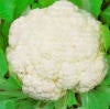 Snowball Heirloom Cauliflower Seed