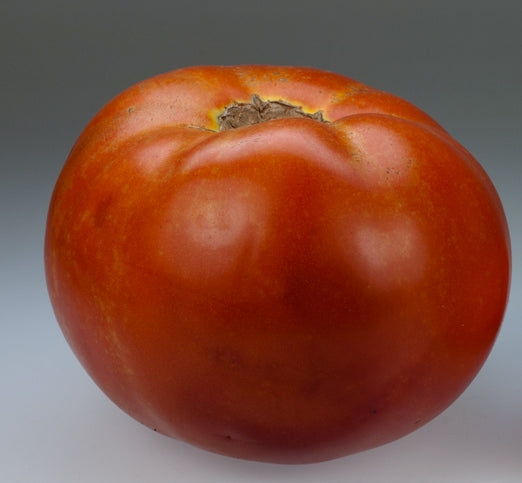Stone Heirloom Tomato Seed