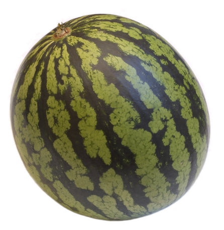 Sugar Baby Heirloom Watermelon Seed