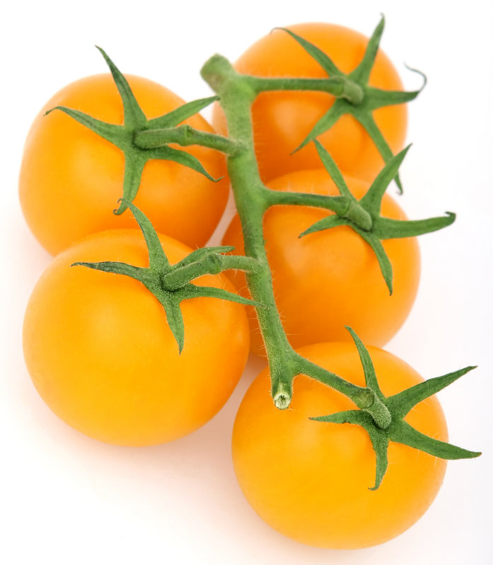 Sun Gold Tomato Seed