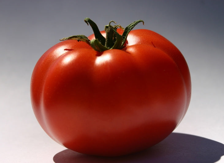 Supersteak Tomato Seed