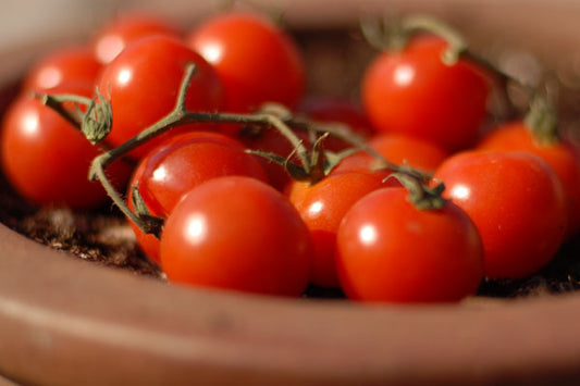 Sweet Million Tomato Seed