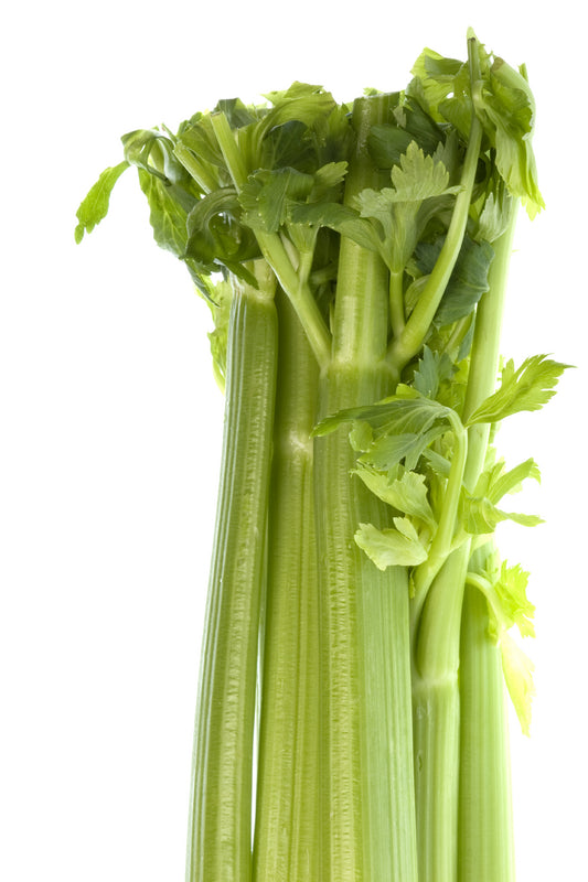 Celery