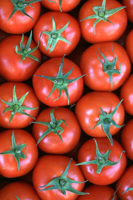 Thessaloniki Heirloom Tomato Seed