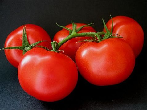 Tomato Ace Heirloom Tomato Seed