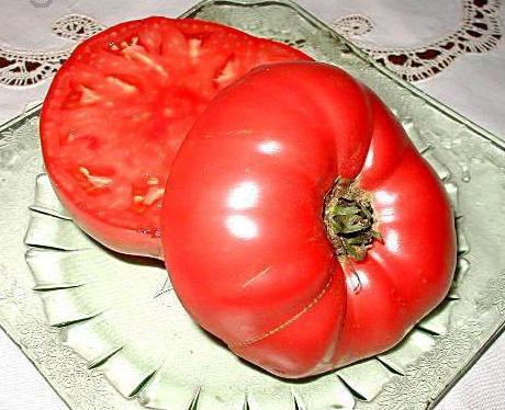 Uncle Mark Bagby Heirloom Tomato Seed