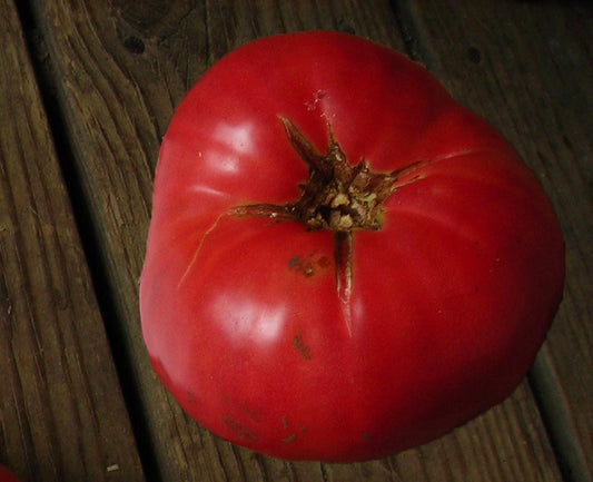 Vinson Watts Heirloom Tomato Seed