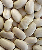 White Half Runner Pole Heirloom Bean Seed