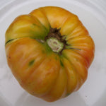 Williams Striped Heirloom Tomato Seed