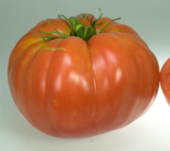 Wins All Heirloom Tomato Seed