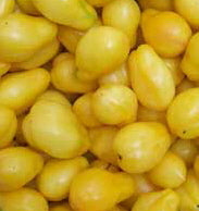 Yellow Bell Heirloom Certified-Tomato Seed