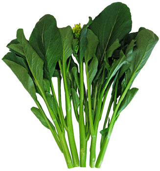 Yu Choy Sum Hong Kong Lettuce Seed